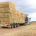 More hay delivered to feed the hungry mob
