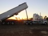 Sunset delivery of cotton seed