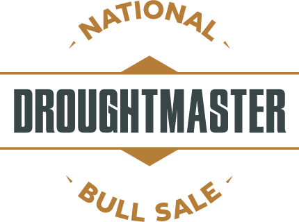 Droughtmaster National Bull Sale | Oakmore Park Droughtmasters