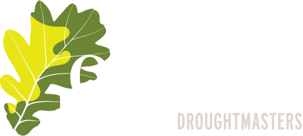 Oakmore Park Droughtmasters